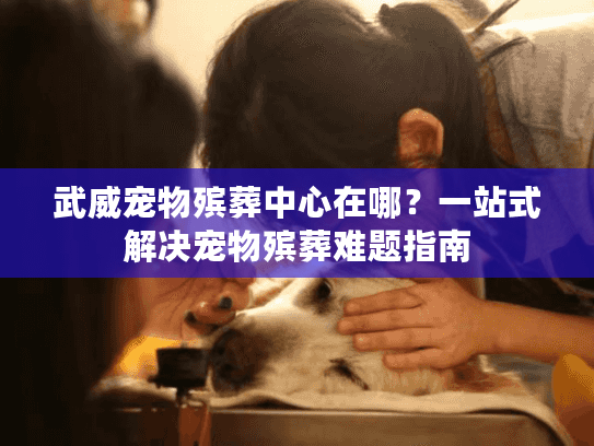 武威宠物殡葬中心在哪？一站式解决宠物殡葬难题指南