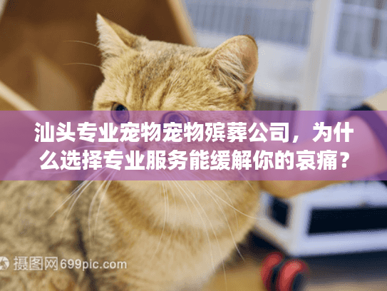汕头专业宠物宠物殡葬公司，为什么选择专业服务能缓解你的哀痛？