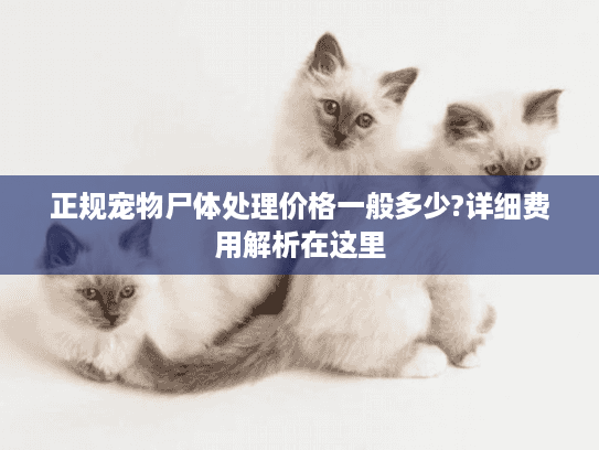 正规宠物尸体处理价格一般多少?详细费用解析在这里