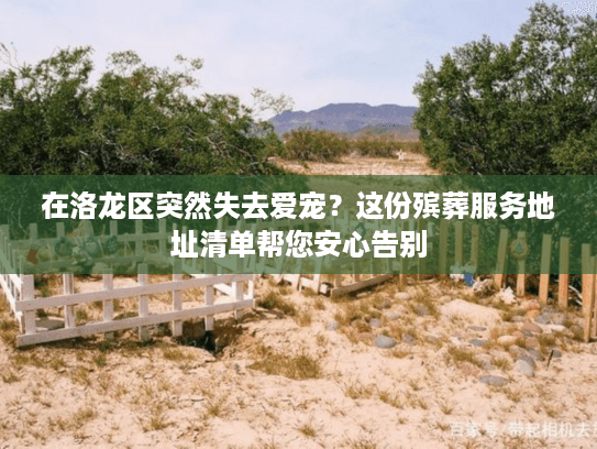 在洛龙区突然失去爱宠？这份殡葬服务地址清单帮您安心告别