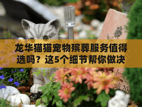 龙华猫猫宠物殡葬服务值得选吗?这5个细节帮你做决定 龙华猫猫宠物殡葬服务值得选吗?这5个细节帮你做决定