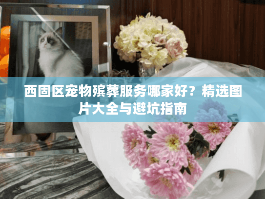 西固区宠物殡葬服务哪家好？精选图片大全与避坑指南