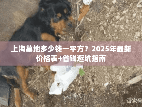 上海墓地多少钱一平方？2025年最新价格表+省钱避坑指南