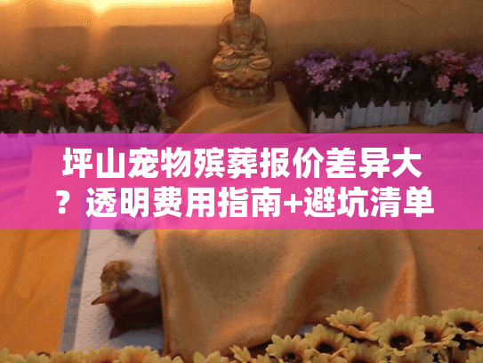 坪山宠物殡葬报价差异大？透明费用指南+避坑清单来了