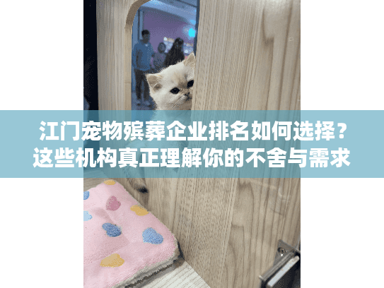 江门宠物殡葬企业排名如何选择？这些机构真正理解你的不舍与需求