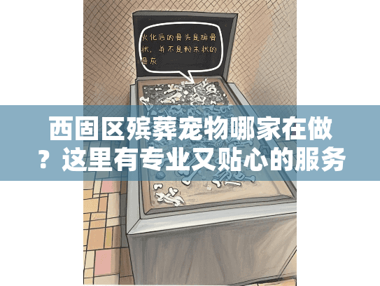 西固区殡葬宠物哪家在做？这里有专业又贴心的服务选择