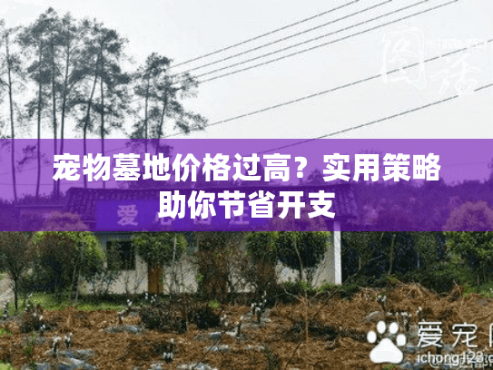 宠物墓地价格过高？实用策略助你节省开支
