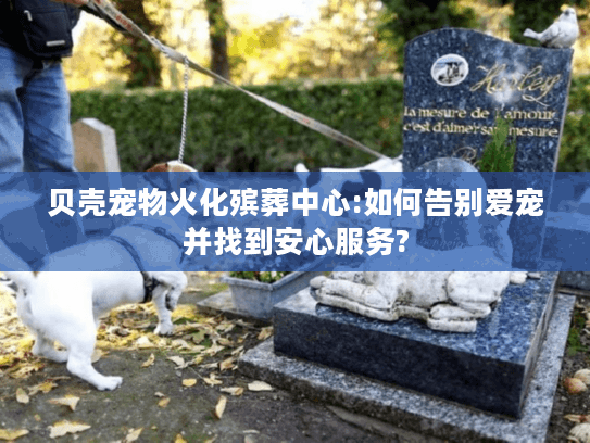 贝壳宠物火化殡葬中心:如何告别爱宠并找到安心服务?
