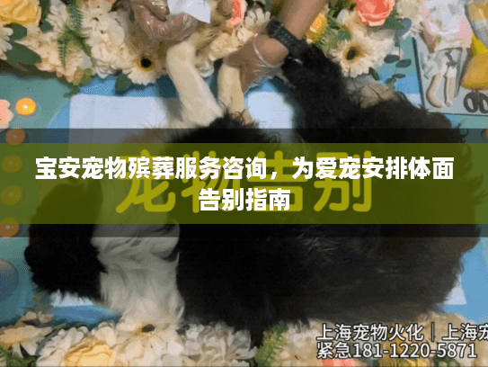 宝安宠物殡葬服务咨询，为爱宠安排体面告别指南