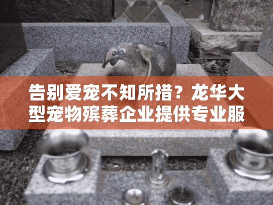 告别爱宠不知所措？龙华大型宠物殡葬企业提供专业服务质量保障