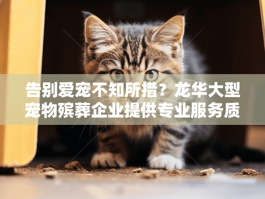 告别爱宠不知所措？龙华大型宠物殡葬企业提供专业服务质量保障