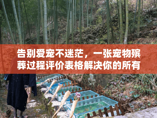 告别爱宠不迷茫，一张宠物殡葬过程评价表格解决你的所有顾虑