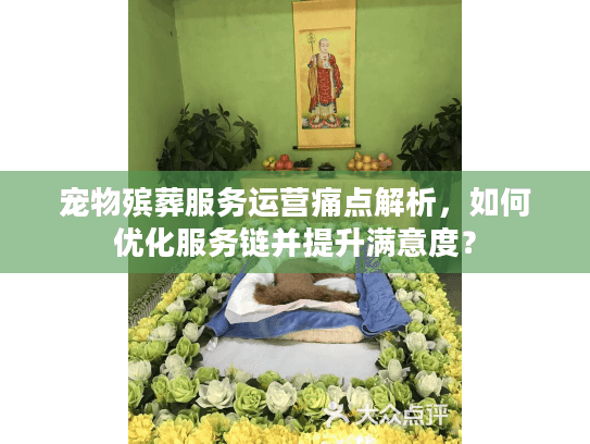 宠物殡葬服务运营痛点解析，如何优化服务链并提升满意度？