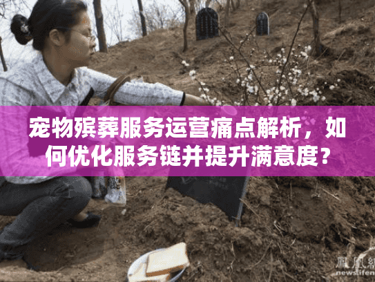 宠物殡葬服务运营痛点解析，如何优化服务链并提升满意度？