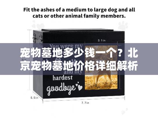 宠物墓地多少钱一个？北京宠物墓地价格详细解析