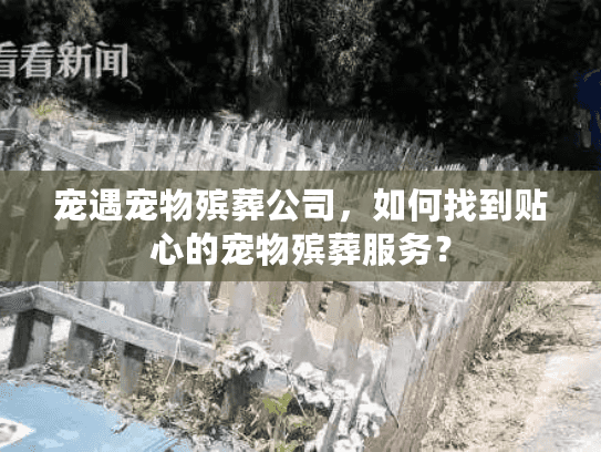 宠遇宠物殡葬公司，如何找到贴心的宠物殡葬服务？