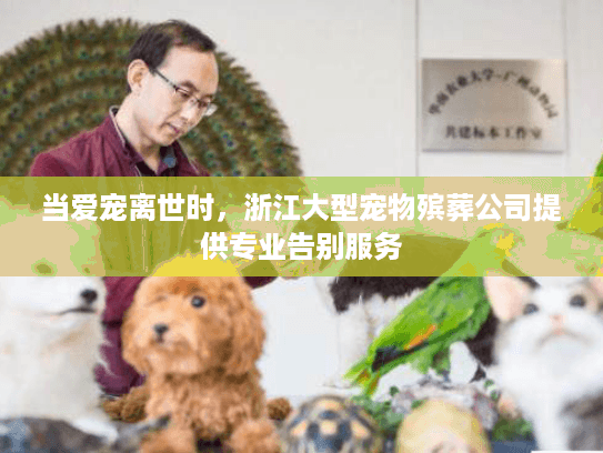 当爱宠离世时，浙江大型宠物殡葬公司提供专业告别服务
