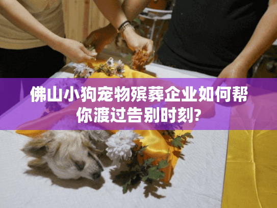 佛山小狗宠物殡葬企业如何帮你渡过告别时刻?