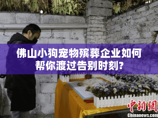 佛山小狗宠物殡葬企业如何帮你渡过告别时刻?