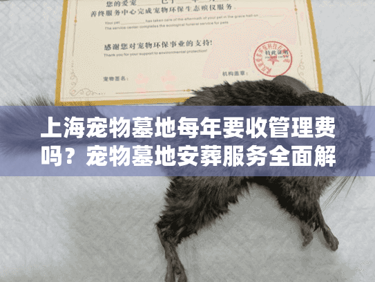 上海宠物墓地每年要收管理费吗？宠物墓地安葬服务全面解析