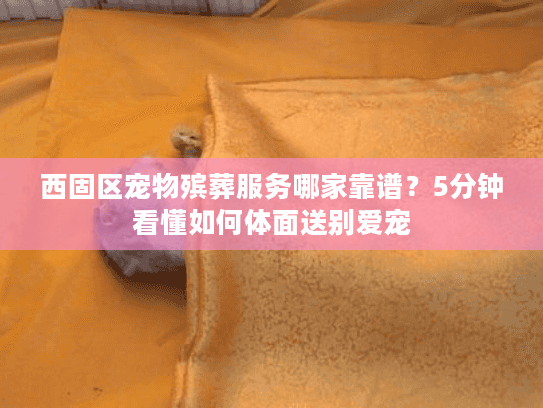 西固区宠物殡葬服务哪家靠谱？5分钟看懂如何体面送别爱宠