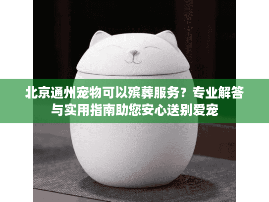 北京通州宠物可以殡葬服务？专业解答与实用指南助您安心送别爱宠