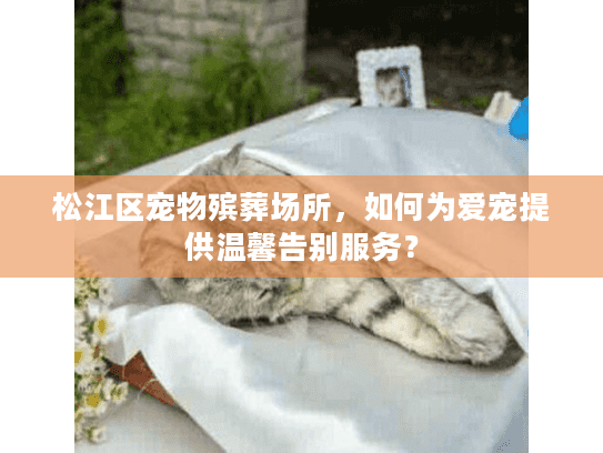 松江区宠物殡葬场所，如何为爱宠提供温馨告别服务？