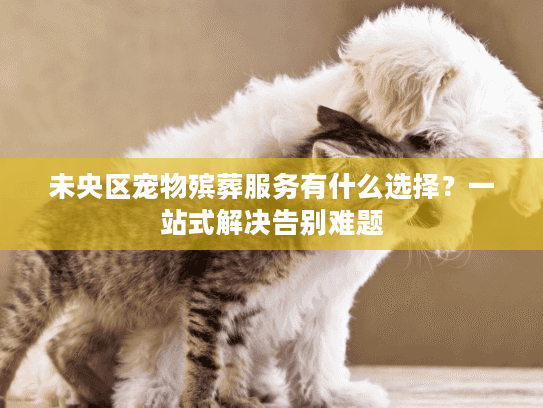 未央区宠物殡葬服务有什么选择？一站式解决告别难题