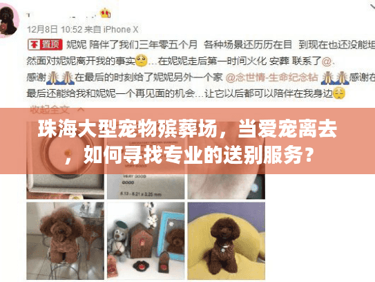 珠海大型宠物殡葬场，当爱宠离去，如何寻找专业的送别服务？