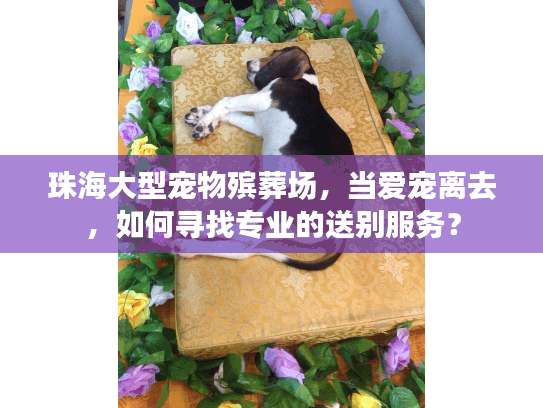 珠海大型宠物殡葬场，当爱宠离去，如何寻找专业的送别服务？