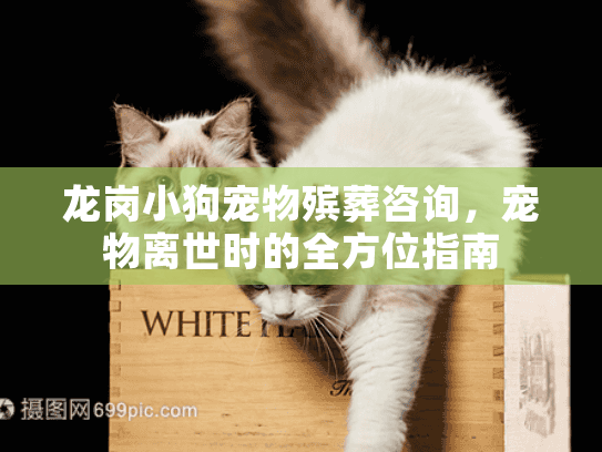 龙岗小狗宠物殡葬咨询，宠物离世时的全方位指南