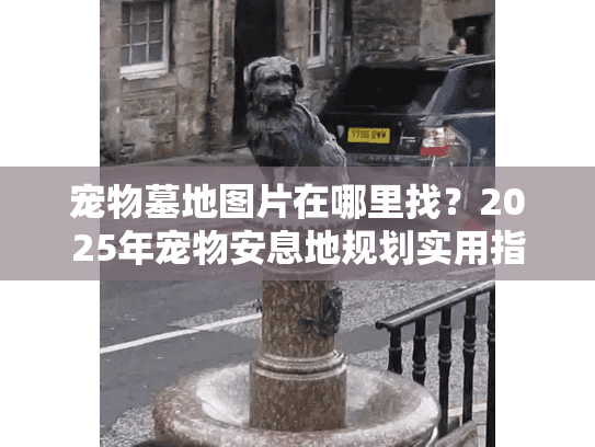 宠物墓地图片在哪里找？2025年宠物安息地规划实用指南