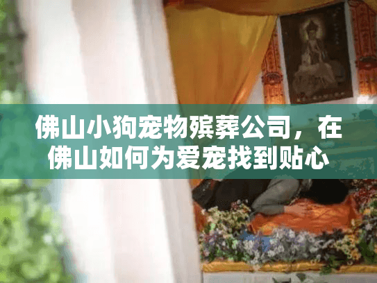 佛山小狗宠物殡葬公司，在佛山如何为爱宠找到贴心、专业的告别服务？