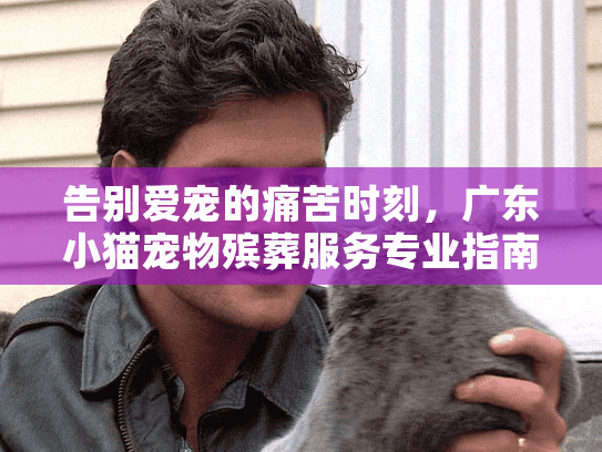 告别爱宠的痛苦时刻，广东小猫宠物殡葬服务专业指南