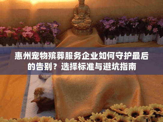 惠州宠物殡葬服务企业如何守护最后的告别？选择标准与避坑指南