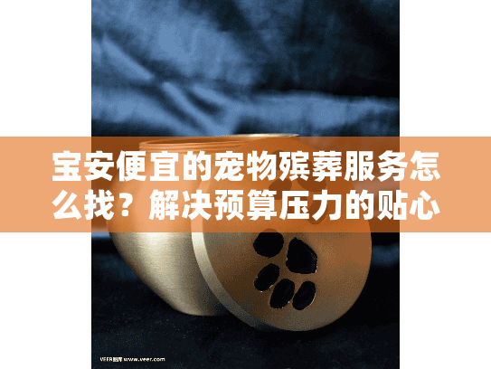宝安便宜的宠物殡葬服务怎么找？解决预算压力的贴心选择