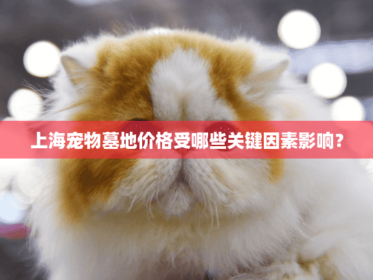 上海宠物墓地价格受哪些关键因素影响？