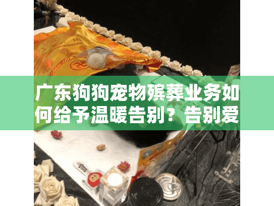 广东狗狗宠物殡葬业务如何给予温暖告别？告别爱宠必知指南