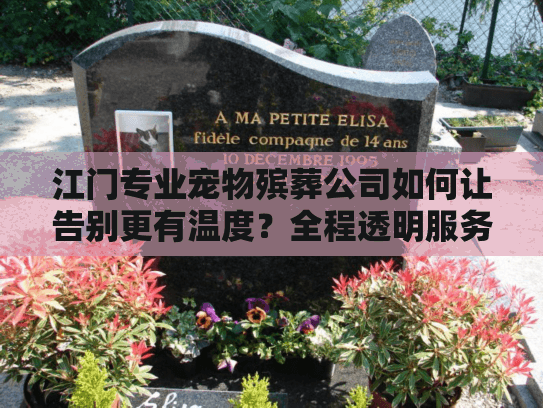 江门专业宠物殡葬公司如何让告别更有温度？全程透明服务解析