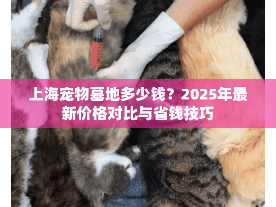 上海宠物墓地多少钱？2025年最新价格对比与省钱技巧