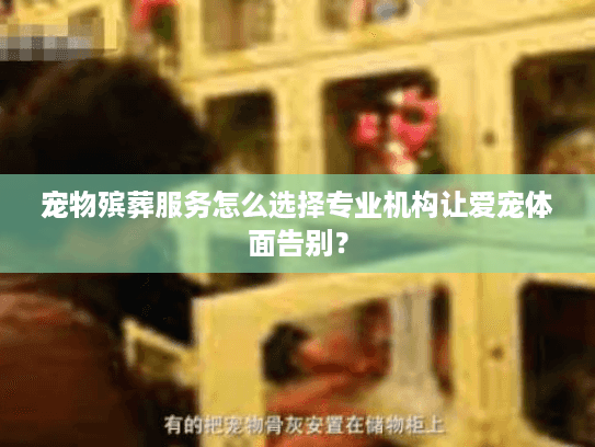 宠物殡葬服务怎么选择专业机构让爱宠体面告别？