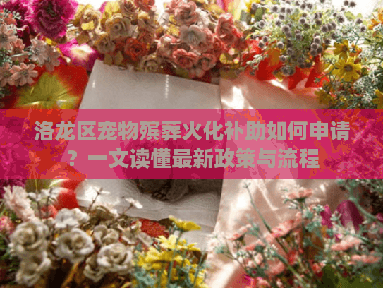 洛龙区宠物殡葬火化补助如何申请？一文读懂最新政策与流程