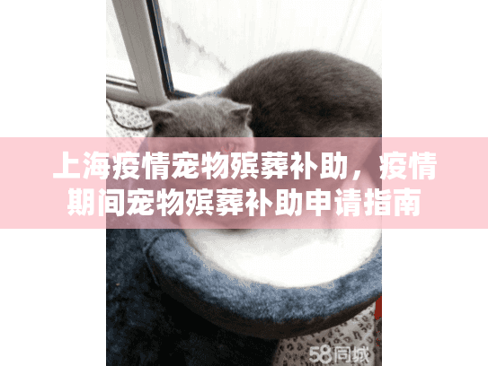 上海疫情宠物殡葬补助,疫情期间宠物殡葬补助申请指南 上海疫情宠物殡葬补助,疫情期间宠物殡葬补助申请指南