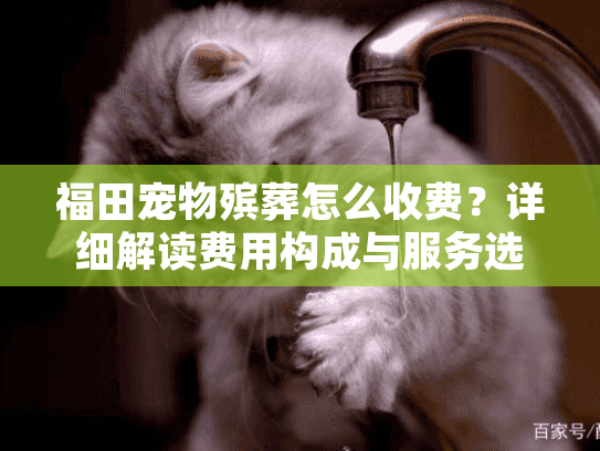 福田宠物殡葬怎么收费？详细解读费用构成与服务选择