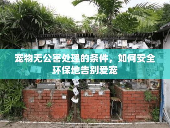 宠物无公害处理的条件，如何安全环保地告别爱宠