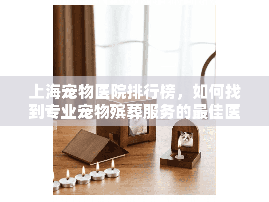 上海宠物医院排行榜，如何找到专业宠物殡葬服务的最佳医院？