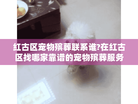 红古区宠物殡葬联系谁?在红古区找哪家靠谱的宠物殡葬服务