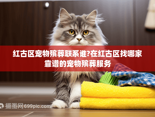红古区宠物殡葬联系谁?在红古区找哪家靠谱的宠物殡葬服务