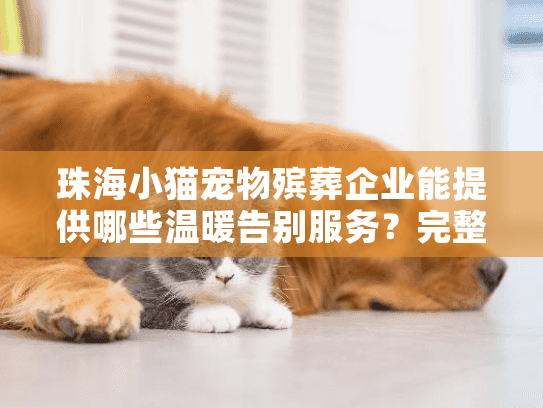 珠海小猫宠物殡葬企业能提供哪些温暖告别服务？完整流程与费用解析