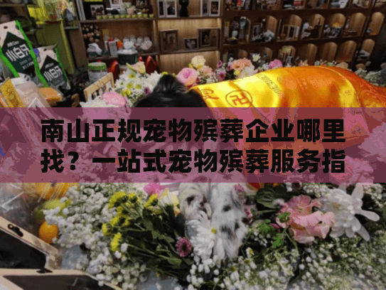 南山正规宠物殡葬企业哪里找？一站式宠物殡葬服务指南